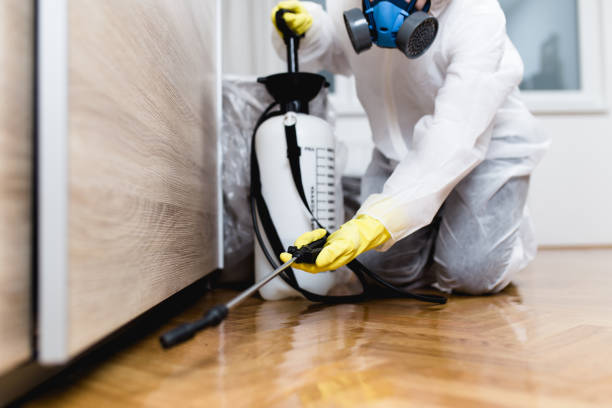 Best Bed Bug Extermination  in Bellville, TX
