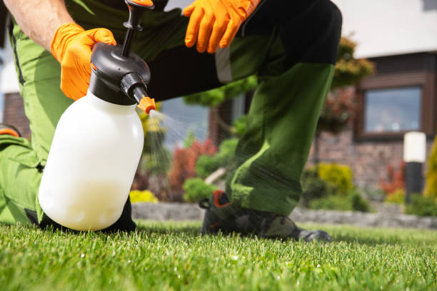 Best Termite Control Services  in Bellville, TX