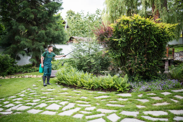 Best Affordable Pest Control Services  in Bellville, TX