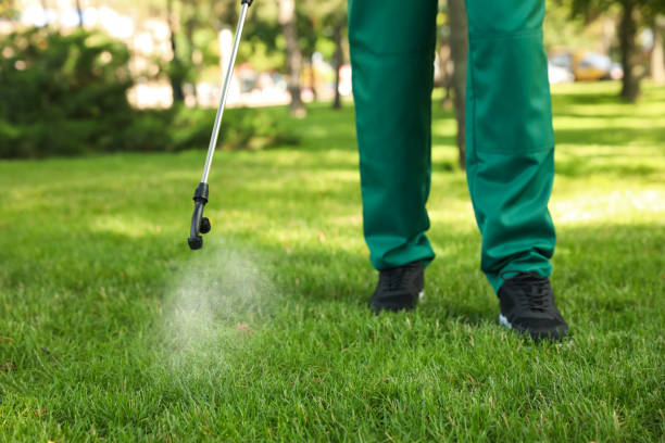 Flea Control Services in Bellville, TX