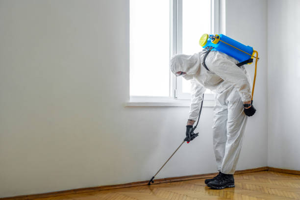 Best Residential Pest Control  in Bellville, TX
