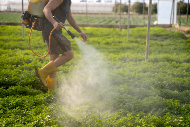 Best Mosquito Control Services  in Bellville, TX