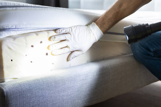 Best Pest Prevention Services  in Bellville, TX