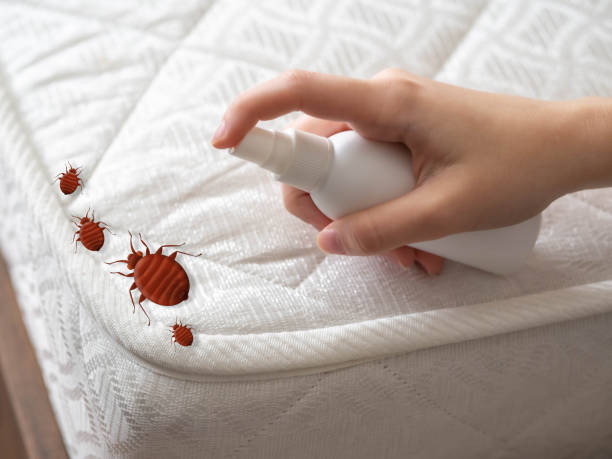 Pest Control Cost in Bellville, TX